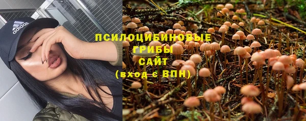 гидра Балабаново