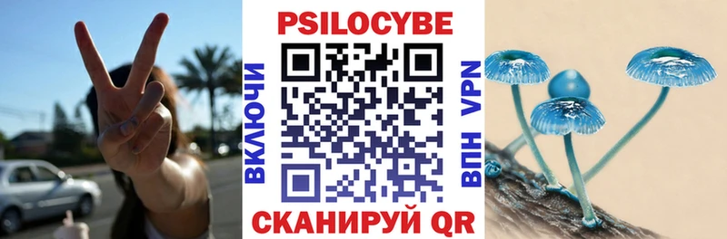 Галлюциногенные грибы Psilocybine cubensis  Купить  Вятские Поляны 